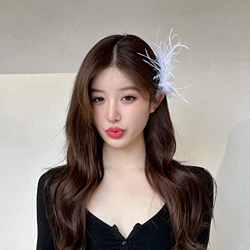 4 Pcs Ostrich Feather Hair Clips Retro Hairgrip Vintage Elegant Luxury Headpiece Bride Party Festival Wedding Jewelry Accessories For Women (Black+White) #TOP3