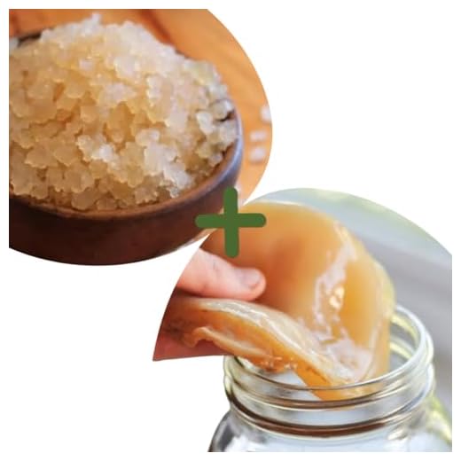 Kefir de Agua e Kombucha Com Assessoria no Cultivo e Criação