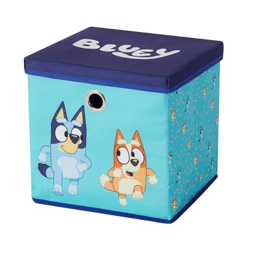 Idea Nuova Bluey Collapsible Fabric Storage Cube 10 Organizer Bin with Lid for Bedroom Playroom and Closet