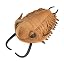 Trilobite
