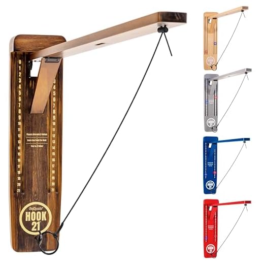 GoSports Hook 21 Wall Mount Game
