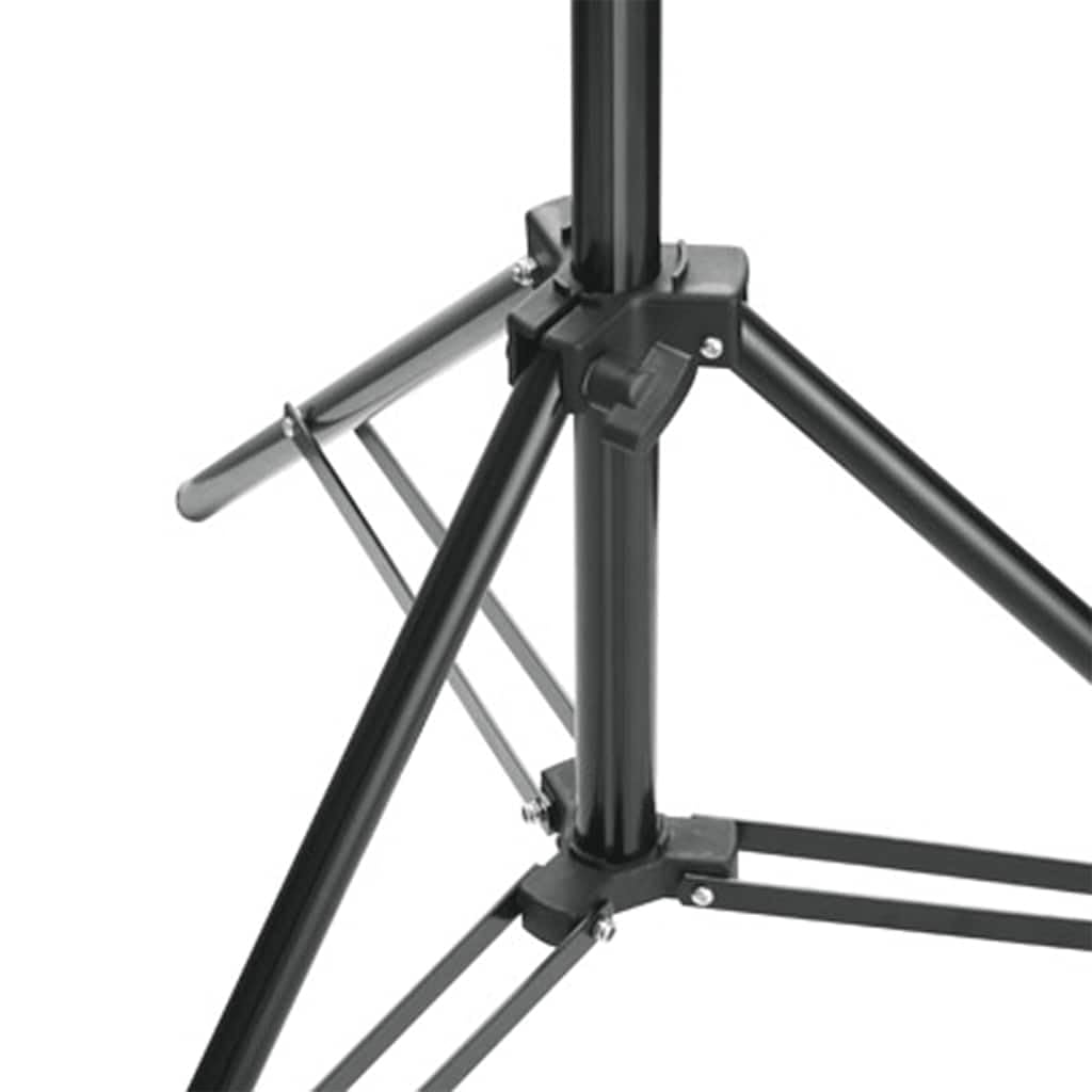 Set da studio fotografico con illuminazione, sistema di sfondo, luce da studio, softbox, luce LED dimmerabile, luce continua, lampada fotografica per fotografia di prodotti e ritratti, studio