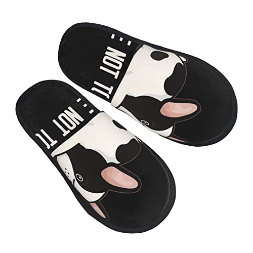 [ZOOKISS] t`uhbO  Xbp  Y  fB[X ~ 킢 qp 􂦂 gC p E Xbpjp lC v[g M