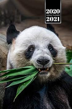 Panda Bear Week Planner Weekly Organizer Calendar 2020 / 2021 - Bush in Mouth: Cute Wildlife Animal Bullet Journal Notebook Diary in 6” x 9” Inch Pocket Size
