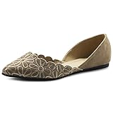 Ollio Women's Shoes Faux Suede Comfort Floral Embroidery Pointed Toe Ballet Flats F91 (8.5 B(M) US,...