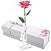 Pink Gold Rose, DEFAITH 24K Gold Trimmed Long Stem Real Rose with Moon-shape Rose Stand. Last a Lifetime. Best Anniversary Gift.