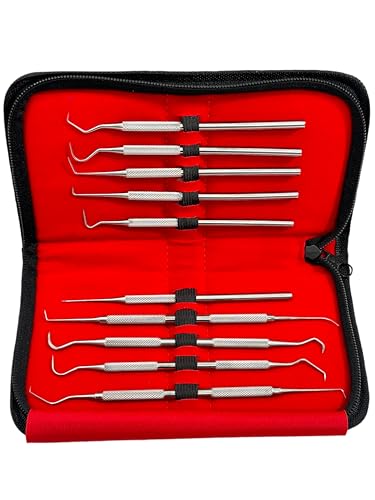 Dental Micro Precision Probe Set of 10 Pieces Double-Ended and Single Ended with Pouch Case - German Stainless Steel