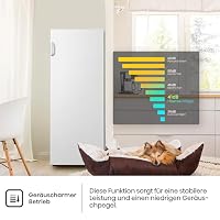 Hisense FV191N4AW2 Gefrierschrank/ TotalNoFrost/ SuperFreeze/ Türalarm/ Multiflow 360°/ BigBox/ 143,4 cm/ Gefrierteil 147 l/ 41 dB/ 205 kWh/Weiß – Ansicht 5