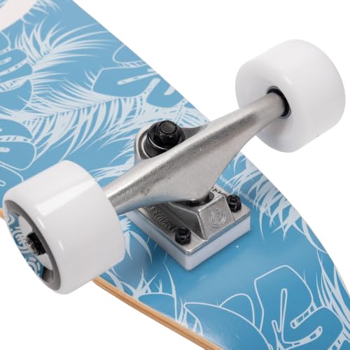 Element Skateboard Pintail Longboard Section Wood 8.5" Deck x 36" Long Board Complete Seal Assembled and Ready to Ride by Element - Used condition - Image 5