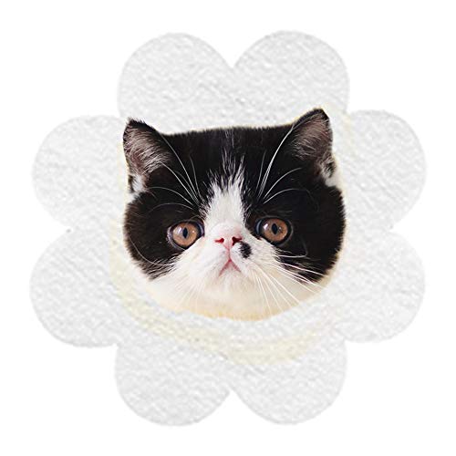 KUVEELA PET GUxXJ[ Lpi h[icJ[ GUxX tFgn y \tg 킢  D ] Ȃߖh~ ~h~ ܐ؂ zCgiSAwrj