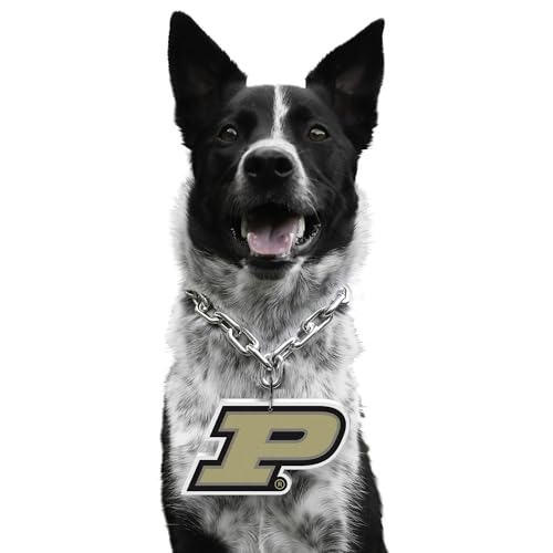 Littlearth NCAA Pet Fan Chain Purdue Boilermakers