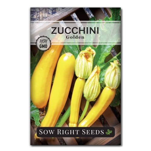 Sow Right Seeds - Golden Zucchini Seeds for Planting - Non-GMO Heirloom Packet with Instructions to Plant and Grow an Outdoor Home Vegetable Garden - Bright Yellow Squash - A Great Gardening Gift (1)