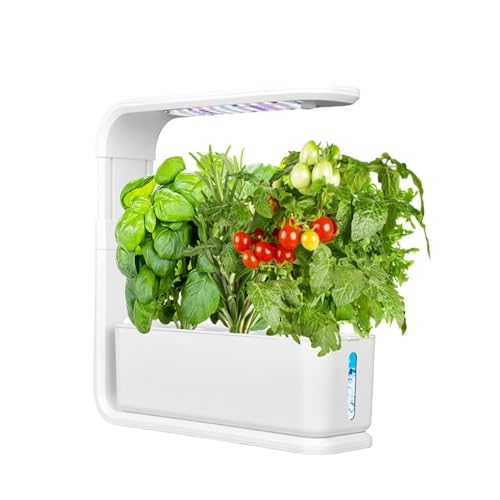 MsiDtsoy ӂ ؂Ă k͔|Lbg X^CbV RpNg k͔|Zbg   ƒ؉ n[u  LEDCg k͔| |bg  A ƒ؉ Lbg zVXe \ ~jg}g 