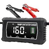 lifepo4 Charger 16-Amp Fully-Automatic Maintain,6V/12V/24V Lead-Acid(AGM/Gel/SLA)/Lithium lron LiFePO4 Trickle Charger,Pulse Repair Car Battery Charger,Deep Cycle