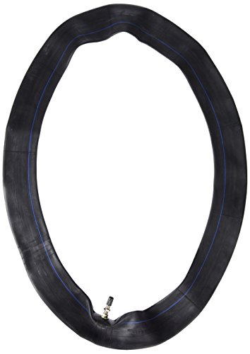 Kenda 68705276 Motorcycle Tube - 250/275-19 TR-4