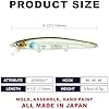 LUCKY CRAFT FlashMinnow 110 Ghost Series Saltwater Fishing Lures, Jerkbait for Halibut and Bass Fish, Slow Suspending 1–2 ft, Surf Fishing Gear and Tackle Box Accessories, 682 Flake Flake Baby GM #1