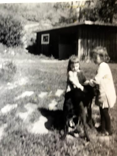 How Do You Measure the Happiness of a Dog?