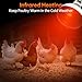 LUCKY HERP Heat Lamp for Chickens, 250 Watt Red Heat Lamp Bulbs, Infrared Heat Lamp for Chickens, Chicks, Reptile, Pets, Brooder Coop, Poultry (1 Pack)