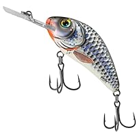 Algopix Similar Product 3 - Salmo RattlinHornet H45F Silver