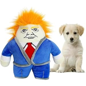 Dog Squeak Toy, Puppy Teething Chew Toys,Dog Chew Toys, Interactive Dog Toy for Small Medium Dogs