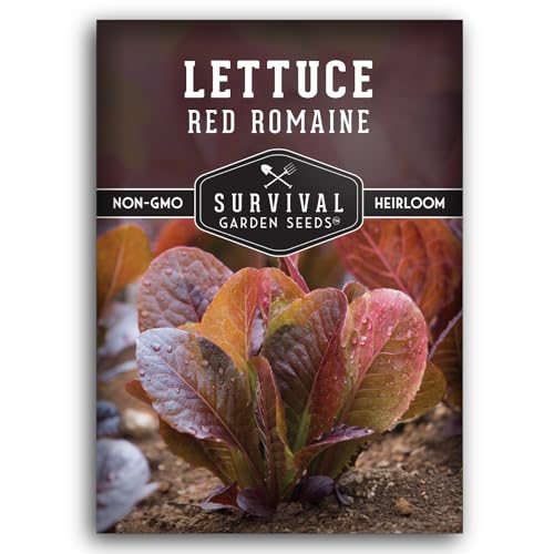 Red Romaine Lettuce Seed for Planting - 1 Packet with