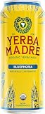 Guayakí Yerba Mate, Organic Energy Drink Alternative, Bluephoria, 150mg Natural Plant Based Caffeine, Better for You Energy & Focus, No Jitters or Crash, 15.5 Oz (Packaging May Vary)