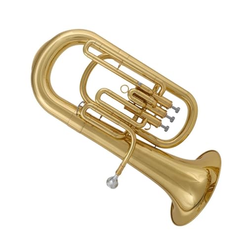 [tHjA y S҂ɓK[tHjABǊy