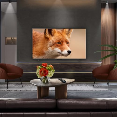 LG OLED42C5ELB - vue 7