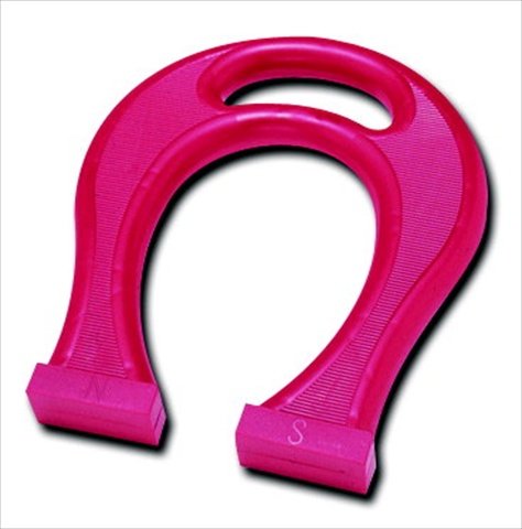1006378 Giant Horseshoe Magnet - 8 in.