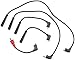 Autolite 96419 Spark Plug Wire Set