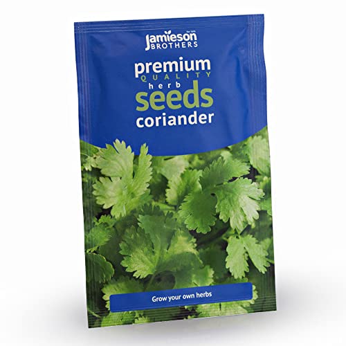 Jamieson Brothers® Coriander Seeds Herb (Approx. 220 Seeds) - Premium Quality Seeds to Grow Your Own Food at Home, in The Garden, On The Patio Or at The Allotment
