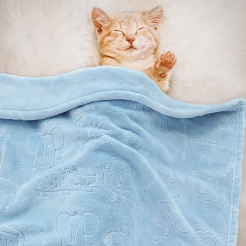 Image of BORITAR Baby Blanket for Boys Girls Ultra Soft Fleece Warm and Lightweight Animal Blankets for Infant Toddler Newborn, 30x40 Inch, Blue
