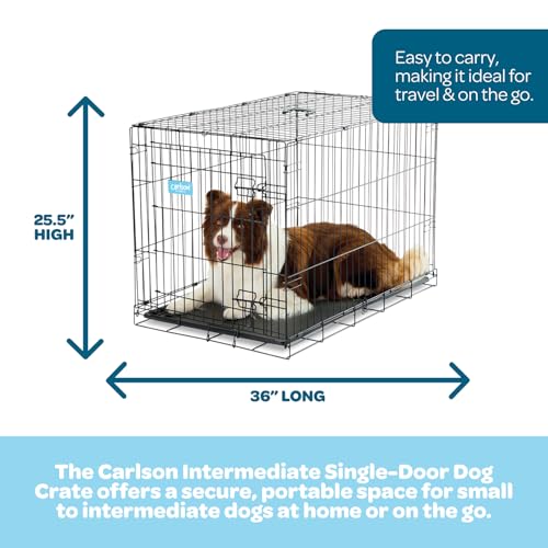 Carlson Pet Products Single Door Metal Dog Crate, Intermediate 36" Dog Crate for Medium to Large Dogs, Foldable Collapsible Dog Kennel with Removable Tray, Portable Wire Dog Cage for Training & Travel by Carlson Pet Products - Image 2