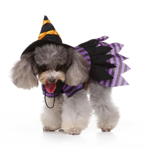 Disfraz Halloween Bruja para Perro Talla L miniatura 7