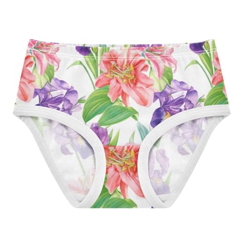 Toddler Underwear Floral 2t Cotton Girl Panties Cute Cartoon Kids Undies Briefs Floral Lilies Irises Pink Purple