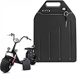 SpokeNation Batería de Iones de Litio para Patinete eléctrico de 60 V, 20 Ah, 25 Ah y 30 Ah, con Cargador para Motor de 1000 W, 500 W y 200 W.