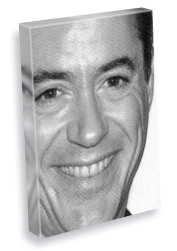 Seasons ROBERT DOWNEY JR. - Canvas Print (A5 - Signed by the Artist) #js004