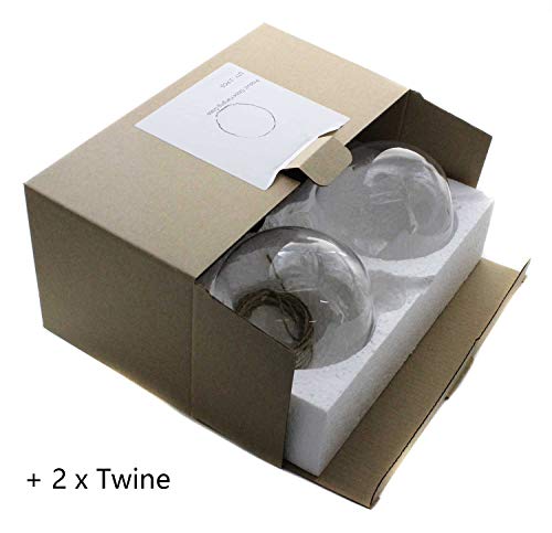 Ivolador Set Of 2Pcs 4.7 Inches Hanging Plants Glass Terrarium Container Air Plant Holder Succulents Globe Shape Home Garden Décor #TOP6