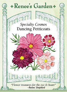 Heirloom Cosmos, Dancing Petticoats Heirloom Cosmos, Dancing Petticoats