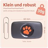 PitPat GPS Tracker für Hunde ohne Abo Gebühren Satellitenortung mit unbegrenzter Reichweite – Haustier Live Aktivitätstracking – Wasserdicht – für alle Hunde geeignet – Passt an jedes Hundehalsband