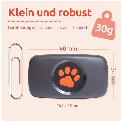 PitPat GPS-Tracker Hund ohne ABO – Hundetracker mit unbegrenzter Reichweite – Produktbild 3
