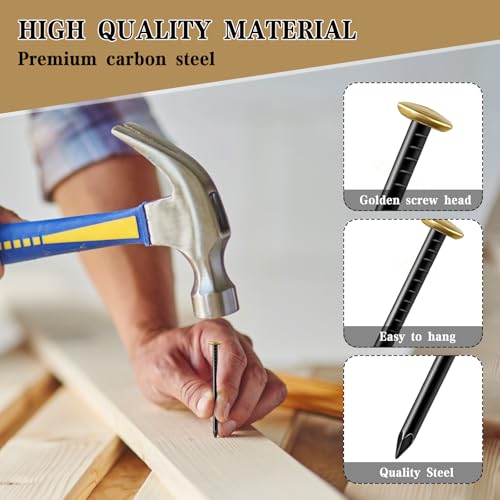 150 Stück Stahlnägel Set (20/25/30/40mm) Rostfreie Stahlnägel Bildernägel mit Box Nägels für Ziegelstein Putz & Holz Rostfreie Stahl nägel Ohne Bohren