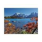 Matériau : métal (fer), fer blanc