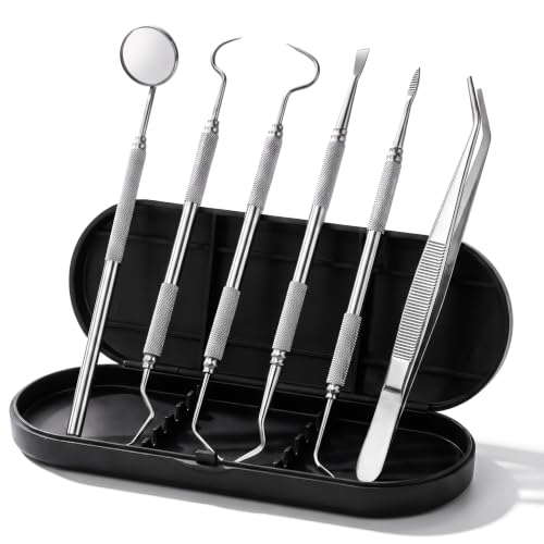 Dental Tools Plaque Remover Teeth Cleaning Tool﻿s Kit 6 Pcs Dental Care Kit Stainless Steel Dental Pick Tartar Remover Tool for Home/Travel/Pet Care-Storage Case Included