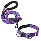 Hochwertiges Material: Sowohl Hundeleine als auch Hundehalsband sind mit starkem Gurtband und weichem, aber strapazierfähigem und leicht zu reinigendem Neopren-Futter, Komfort und hohe Reflexionsfähigkeit für Ihre Sicherheit in allen Bedingungen.