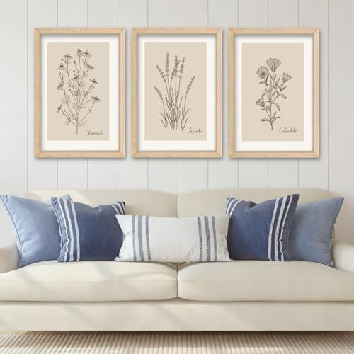 YWJKWLGS Framed Vintage Botanical Wall Art Set of 3, Natural