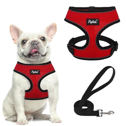 PUPTECK Small Dog Harness and Leash Set No Pull for XS XXS Sized Dogs Puppy
