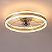 LED Ventilatore da soffitto con Illuminazione, Moderno Camera da Letto Muto Ventilatore Lampade da soffitto, con Telecomando Dimmerabile, Timing, per Soggiorno, Camera dei Bambini,d'oro,50CM