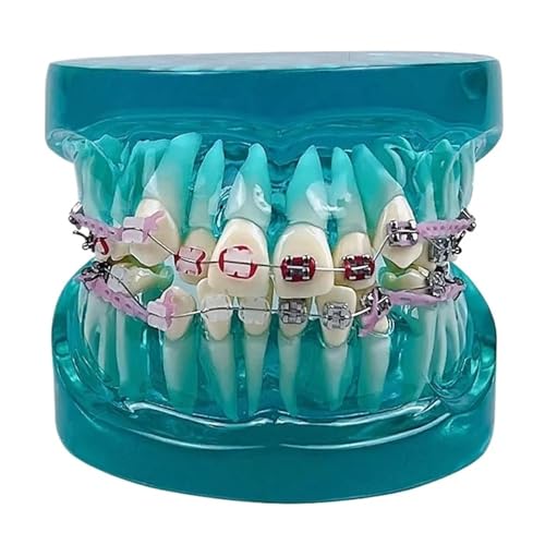 ȋfAu[XuPbgA`F[^CAA[`C[AÃfAȈ㌤烂ft(Blue)