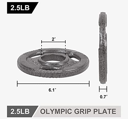 Lionscool 2-Inch Olympic Grip Plate In Pairs Or Single For Strength Training, Weightlifting And Bodybuilding, Solid Cast Iron Weight Plates For Barbell, 2.5-45Lbs, Two Year Warranty (2.5Lb Set Of 4) #TOP1